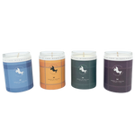 Load image into Gallery viewer, Heather & Wild Berries Candle