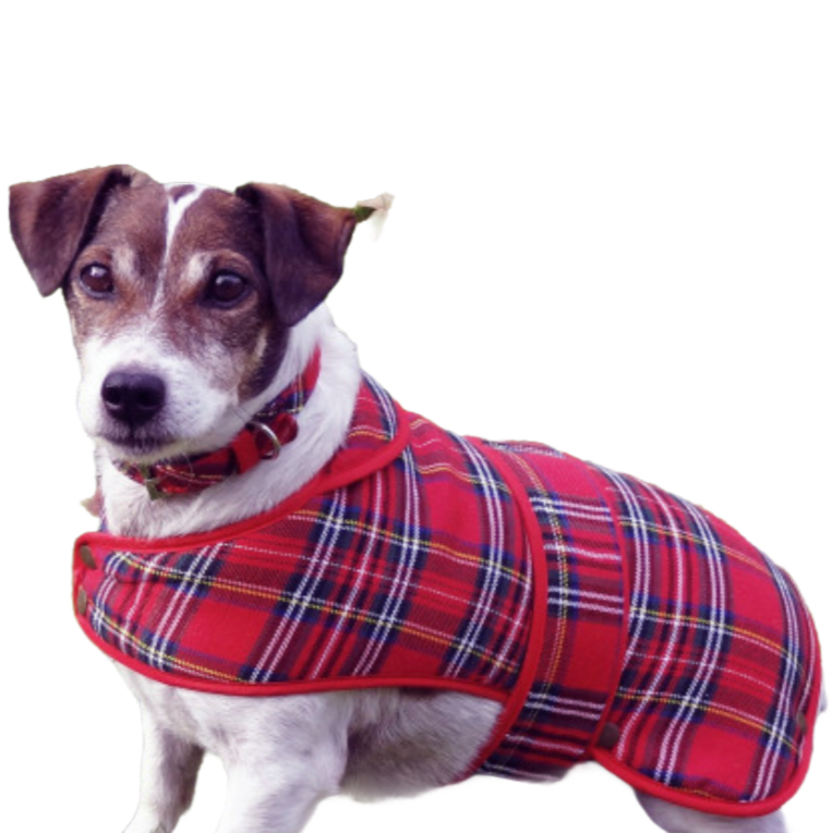 Tartan Dog Coat