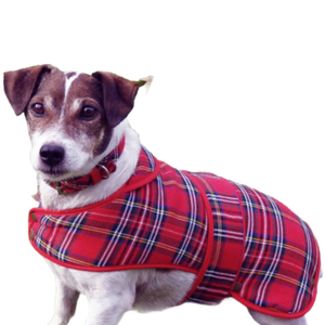 Scottie clearance dog coats