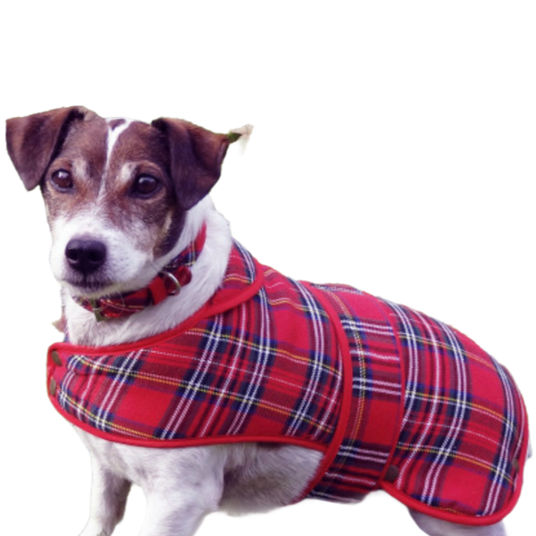 Tartan Dog Coat – Lewis Turrell's House of Scotland Ltd